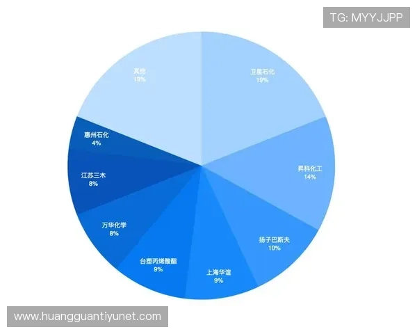 马赛俱乐部发展历程与辉煌成就全景解析