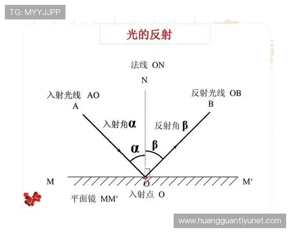 深入解析光的反射与折射规律中的布儒斯特角现象及其应用探索